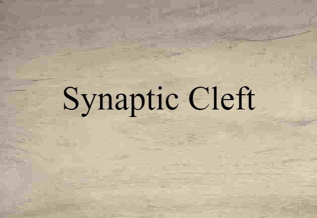 Synaptic Cleft (noun) Definition, Meaning & Examples