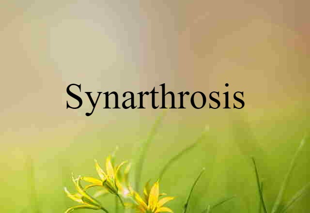 Synarthrosis (noun) Definition, Meaning & Examples