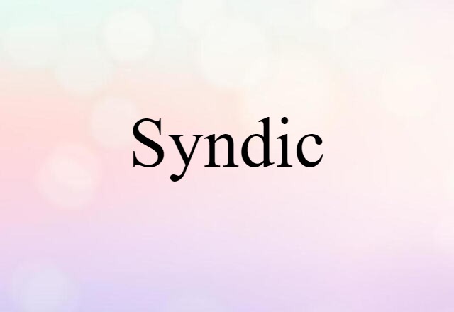 Syndic (noun) Definition, Meaning & Examples