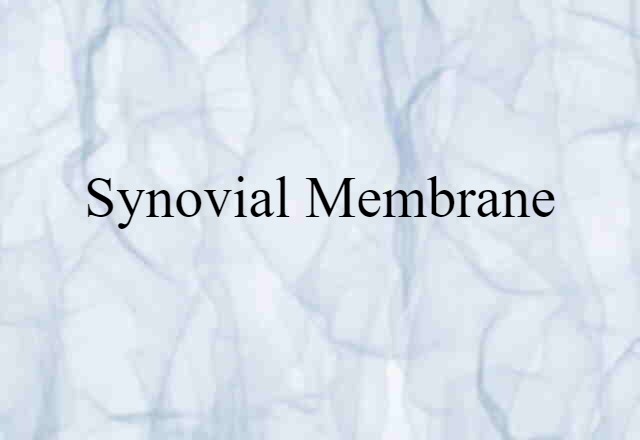 synovial membrane