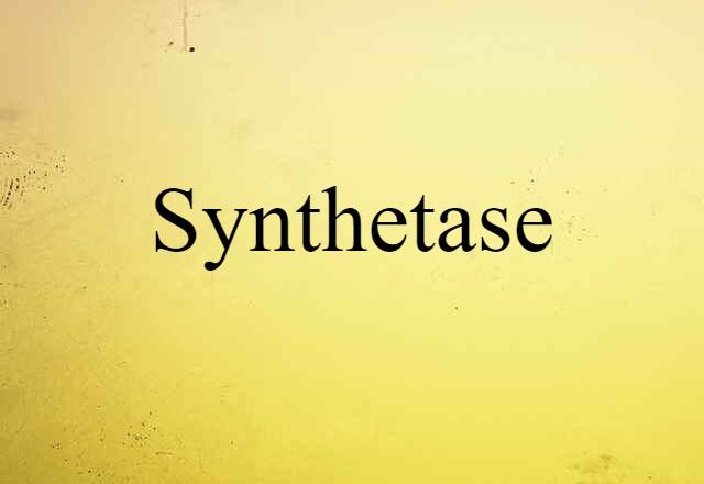 Synthetase (noun) Definition, Meaning & Examples