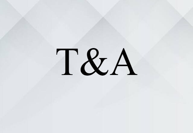 T&A (noun) Definition, Meaning & Examples