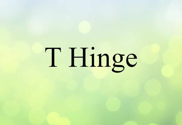 T Hinge (noun) Definition, Meaning & Examples