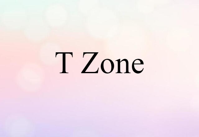 T-zone (noun) Definition, Meaning & Examples