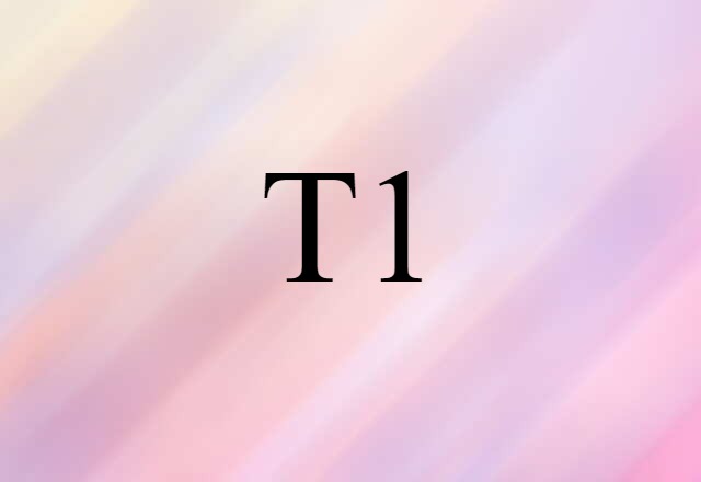 T1 (noun) Definition, Meaning & Examples