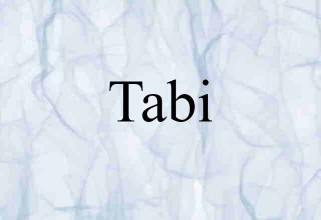 Tabi (noun) Definition, Meaning & Examples