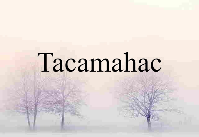 Tacamahac (noun) Definition, Meaning & Examples