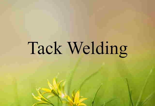 Tack Welding (noun) Definition, Meaning & Examples