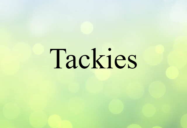 Tackies (noun) Definition, Meaning & Examples