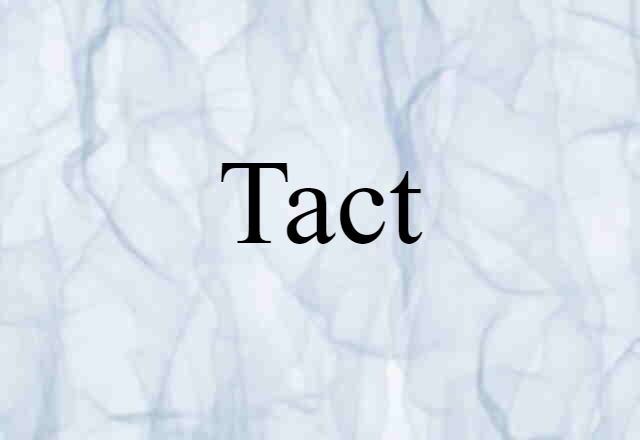 Tact (noun) Definition, Meaning & Examples