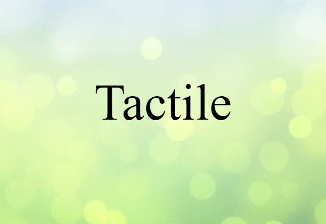 Tactile (noun) Definition, Meaning & Examples