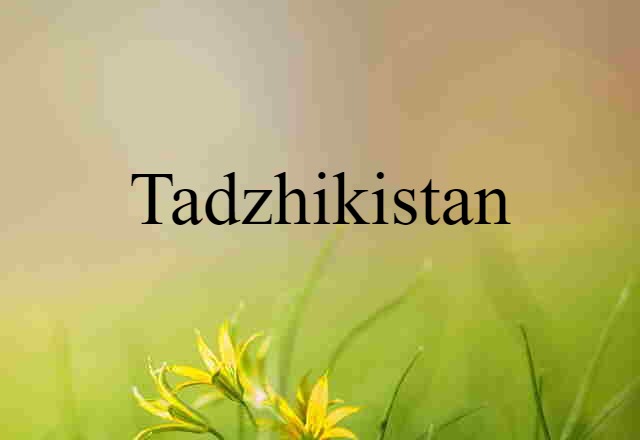 Tadzhikistan (noun) Definition, Meaning & Examples