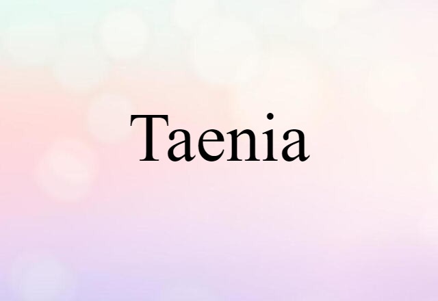 taenia