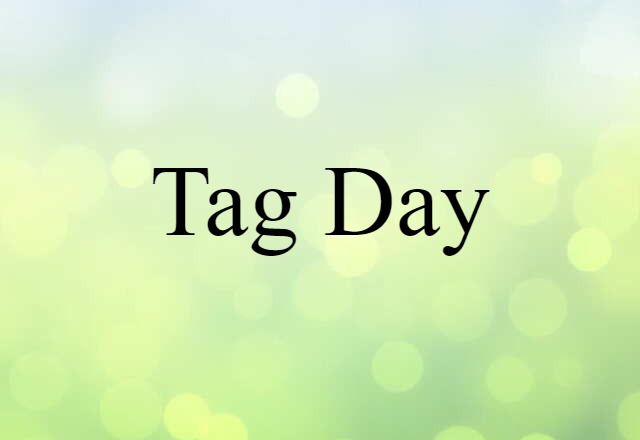 Tag Day (noun) Definition, Meaning & Examples