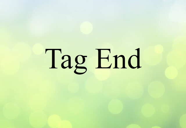 Tag End (noun) Definition, Meaning & Examples