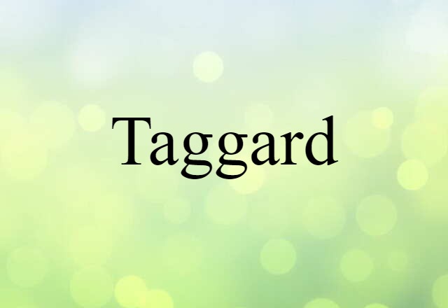 Taggard (noun) Definition, Meaning & Examples