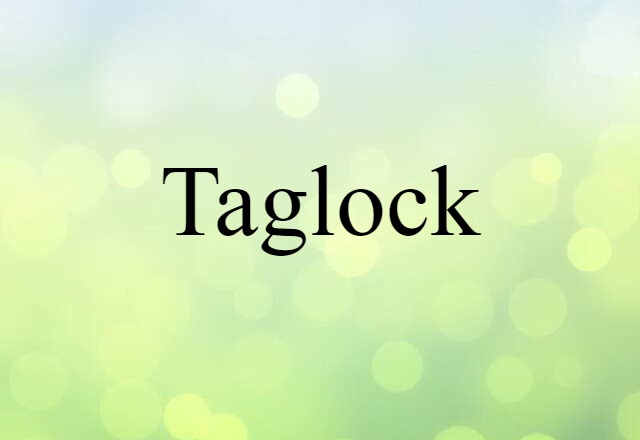 Taglock (noun) Definition, Meaning & Examples