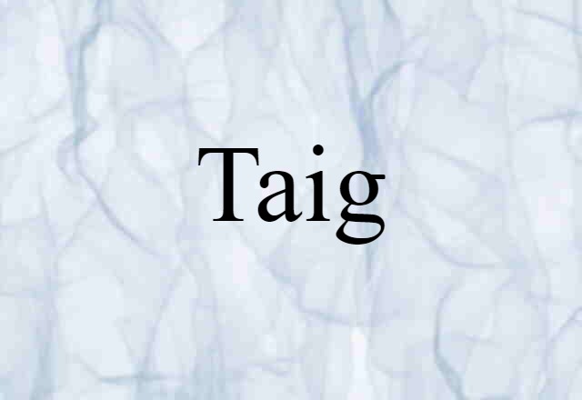 Taig (noun) Definition, Meaning & Examples