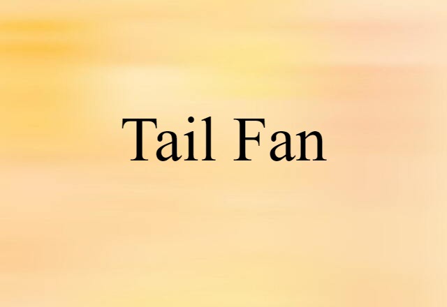 Tail Fan (noun) Definition, Meaning & Examples