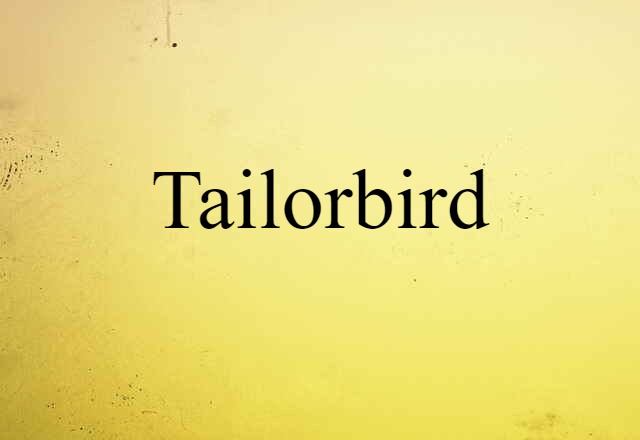 tailorbird