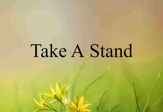 Take A Stand (noun) Definition, Meaning & Examples