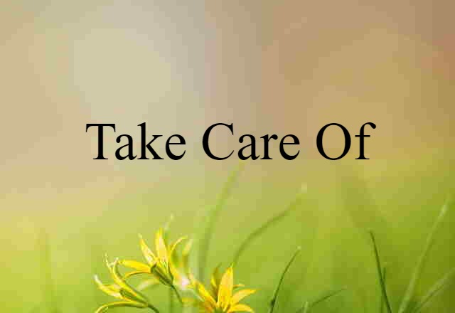 Take Care Of (noun) Definition, Meaning & Examples