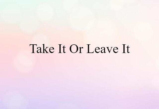 Take It Or Leave It (noun) Definition, Meaning & Examples