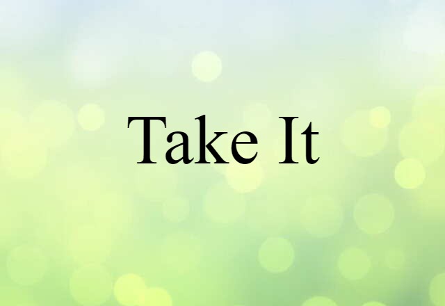 Take It (noun) Definition, Meaning & Examples