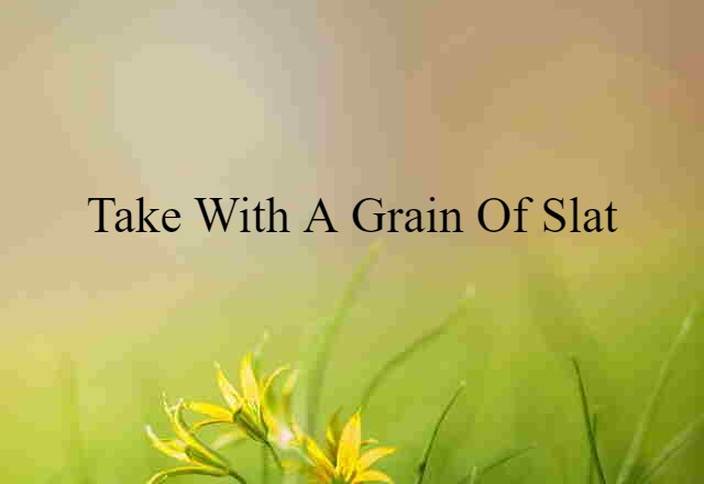 Take With A Grain Of Slat (noun) Definition, Meaning & Examples