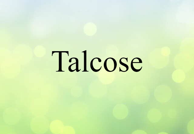 Talcose (noun) Definition, Meaning & Examples