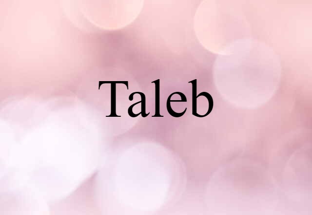 Taleb (noun) Definition, Meaning & Examples