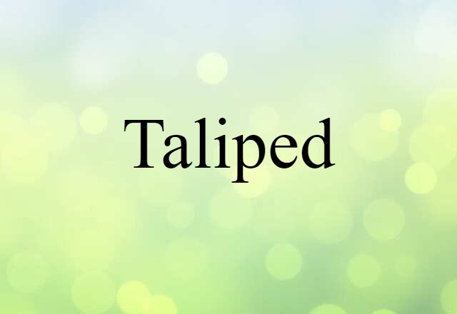 Taliped (noun) Definition, Meaning & Examples