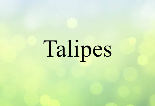 talipes