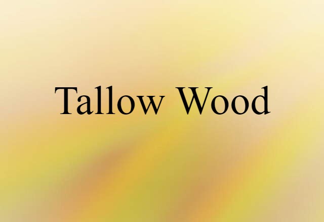 Tallow Wood (noun) Definition, Meaning & Examples