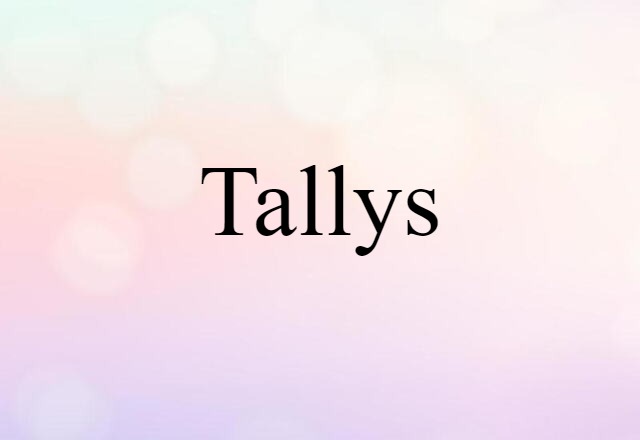 Tallys (noun) Definition, Meaning & Examples