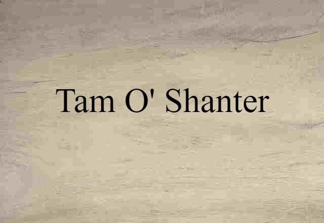 Tam-o'-shanter (noun) Definition, Meaning & Examples