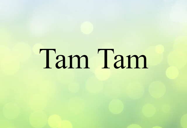 Tam-tam (noun) Definition, Meaning & Examples