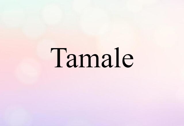 Tamale (noun) Definition, Meaning & Examples