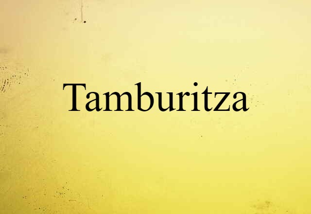 Tamburitza (noun) Definition, Meaning & Examples