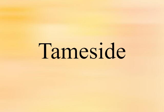 Tameside (noun) Definition, Meaning & Examples