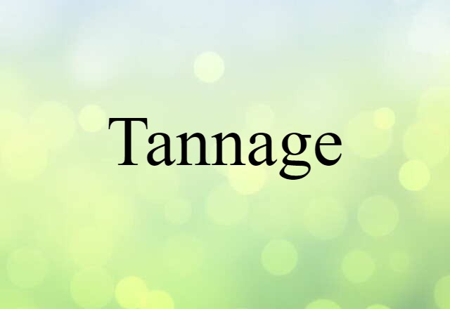 Tannage (noun) Definition, Meaning & Examples