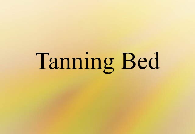 Tanning Bed (noun) Definition, Meaning & Examples