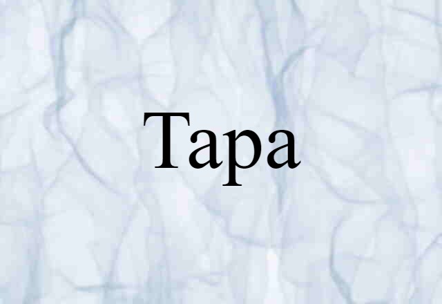 tapa