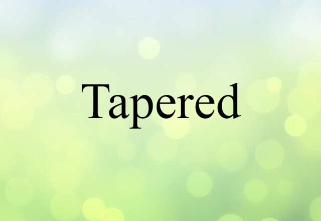 Tapered (noun) Definition, Meaning & Examples