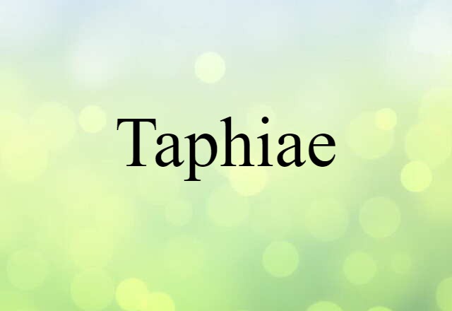 Taphiae (noun) Definition, Meaning & Examples