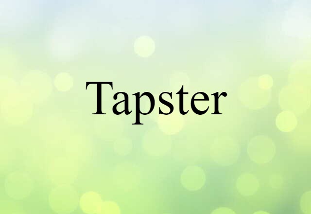 Tapster (noun) Definition, Meaning & Examples