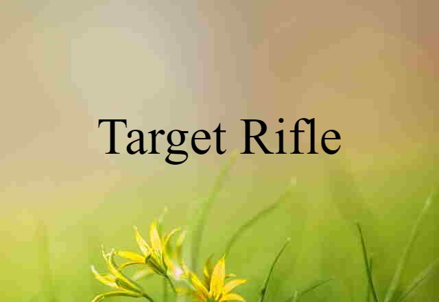 target rifle