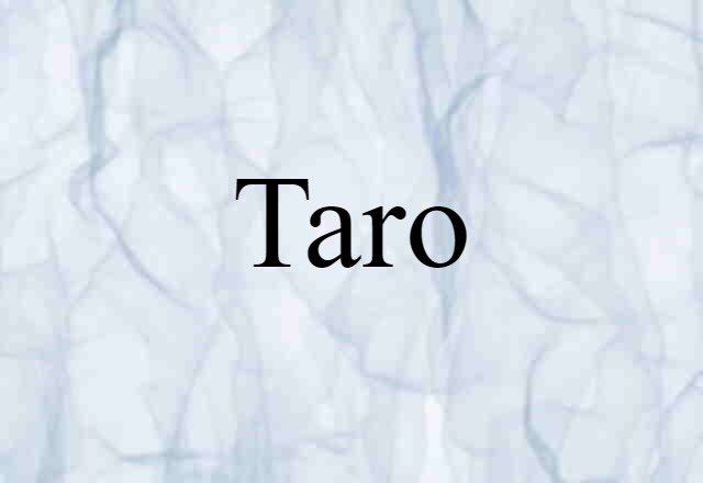 Taro (noun) Definition, Meaning & Examples