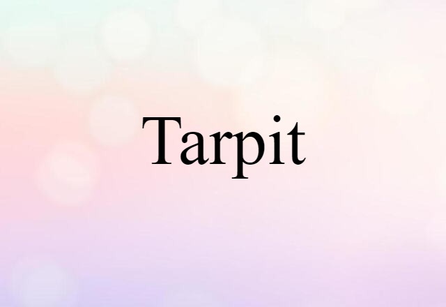 Tarpit (noun) Definition, Meaning & Examples