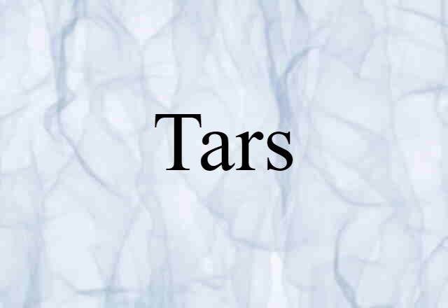 Tars (noun) Definition, Meaning & Examples